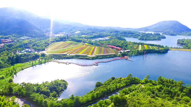 山海，茶田，慢旅行——东部华侨城的小镇时光