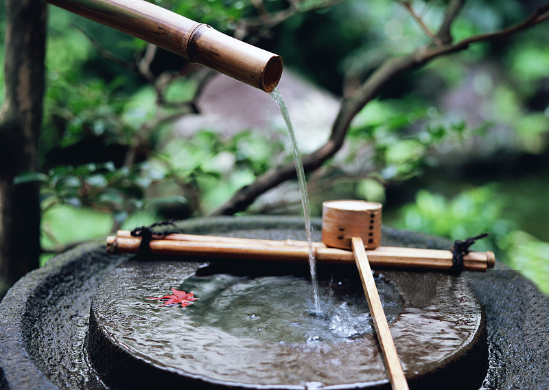 池坊-一花一葉中蘊含的藝術奧秘